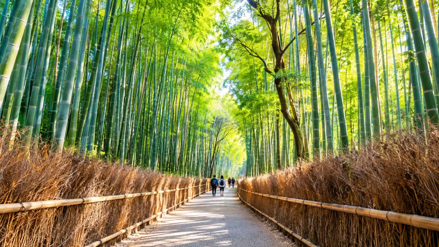 Arashiyama Bamboo Forest Itinerary: Plan Your Visit & Transport