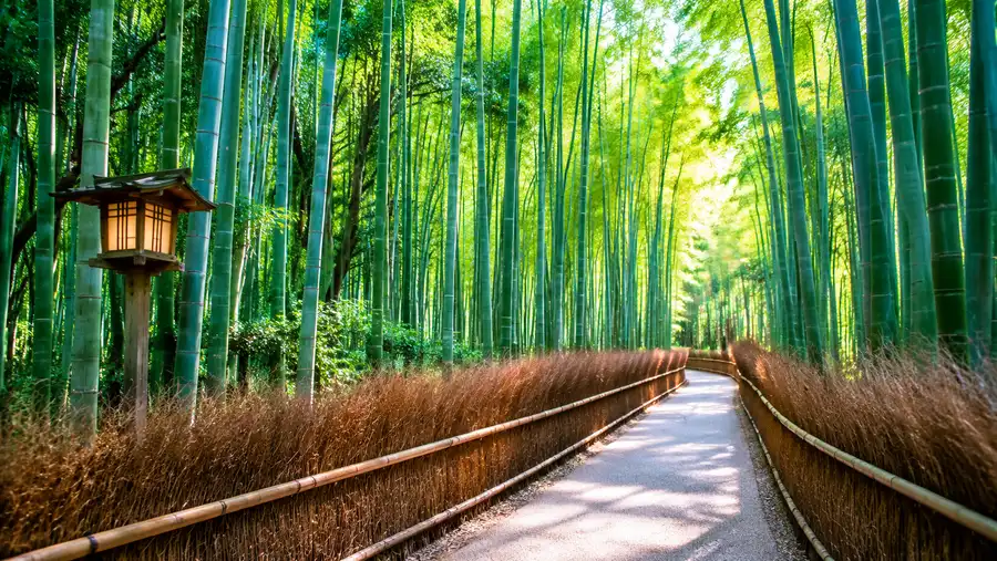 Beyond the Bamboo: Things to Do in Arashiyama
