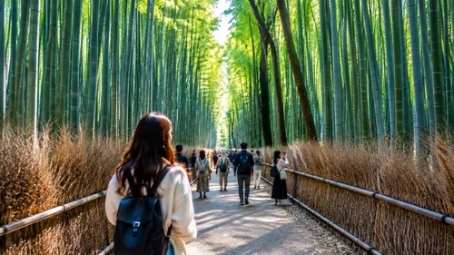 Stroll the Main Path